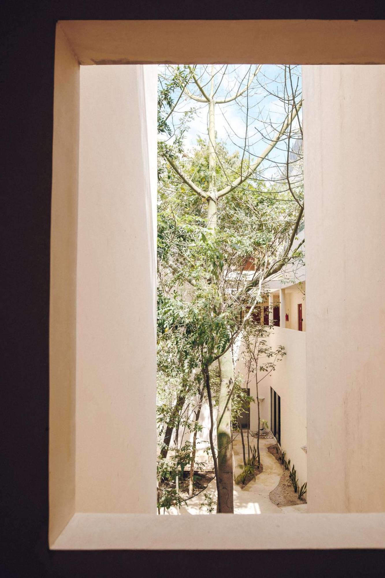 2 Bikes Free Exlusive Building Close To The Sea Tulum Eksteriør billede