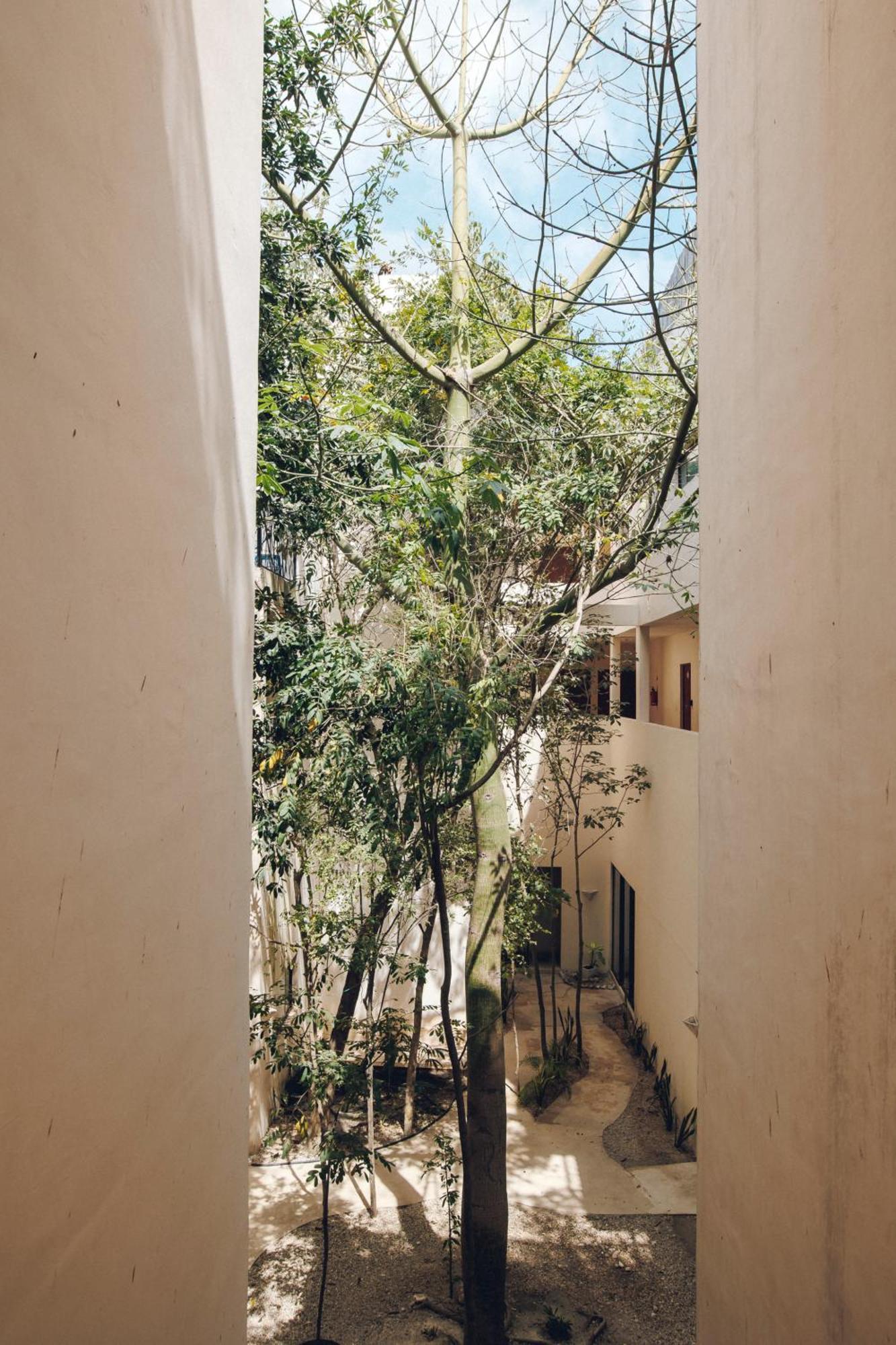2 Bikes Free Exlusive Building Close To The Sea Tulum Eksteriør billede