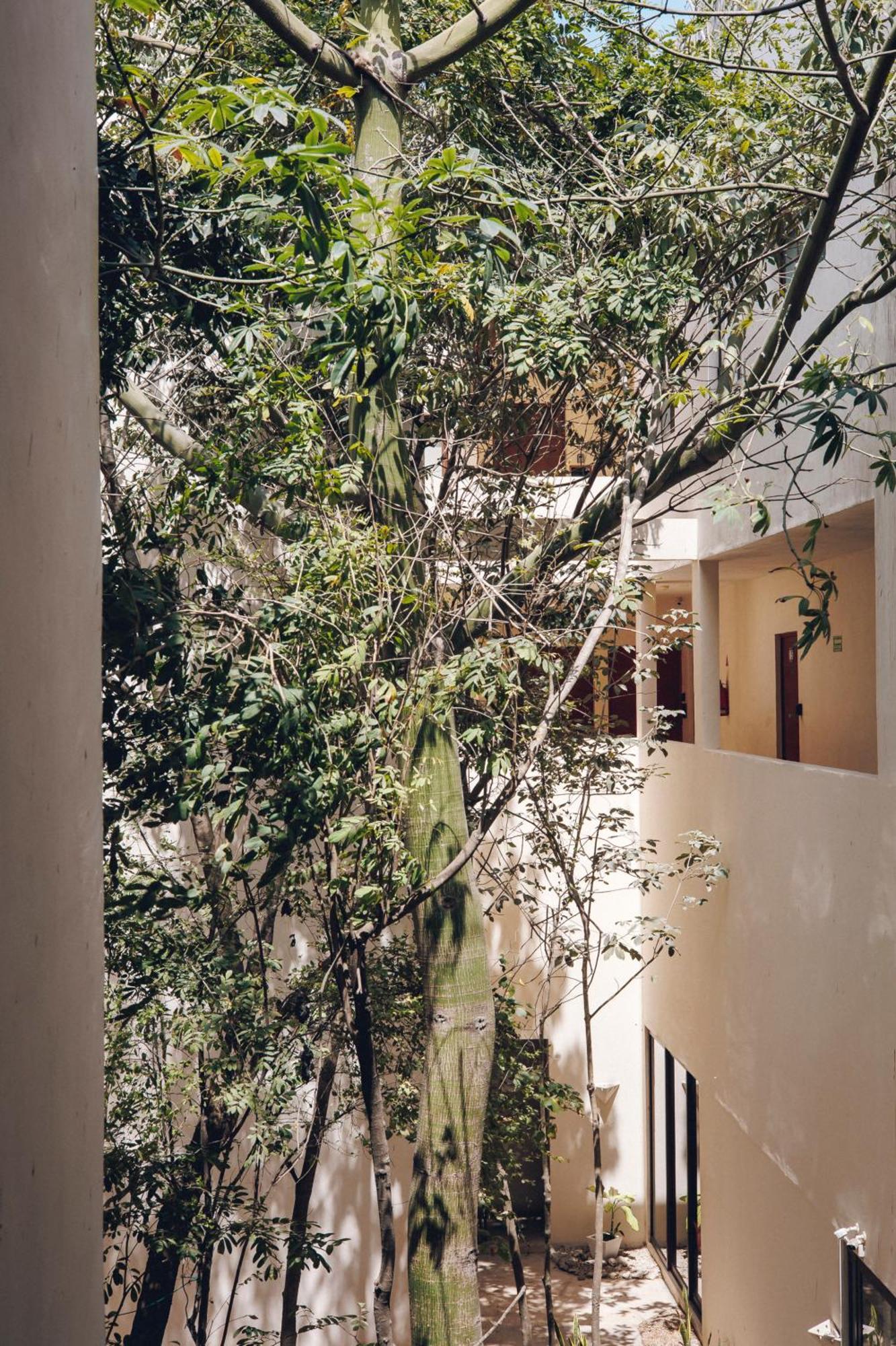2 Bikes Free Exlusive Building Close To The Sea Tulum Eksteriør billede